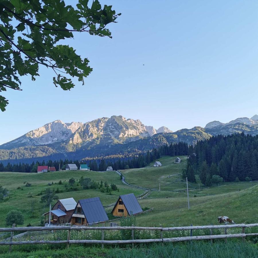 Bosaca Villa Zabljak  Bagian luar foto